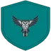 TUJ Cyber Shield club logo: an owl holding a padlock on a teal shield
